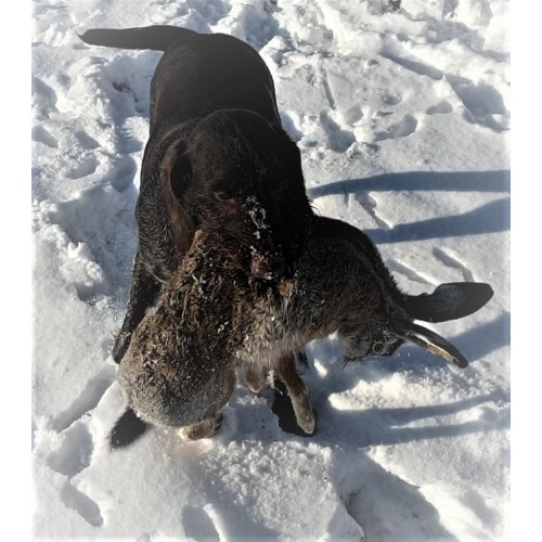 Охотничья практика